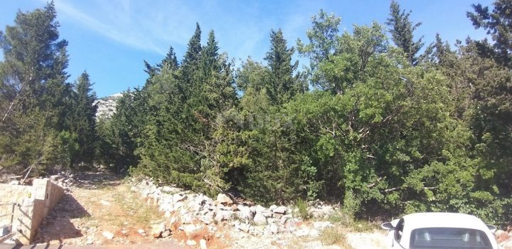 Parcela Naprodaj - Zadarska Starigrad - foto 2/4