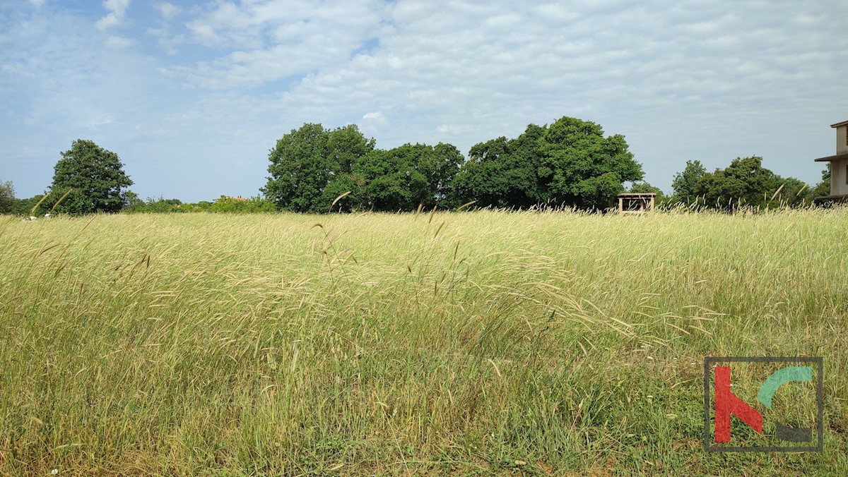 Haus Zu verkaufen - ISTARSKA  LIŽNJAN 