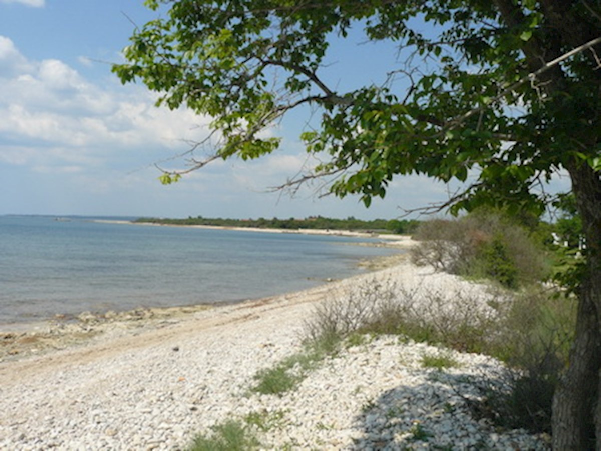 Stan Na prodaju - ISTARSKA  FAŽANA 