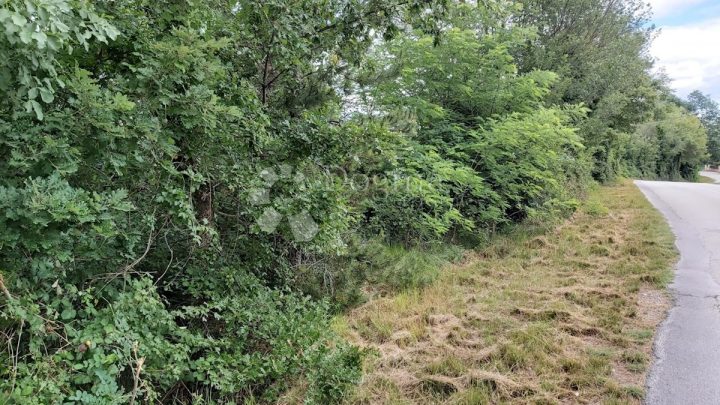 Terrain À vendre - Istarska žminj - foto 2/5