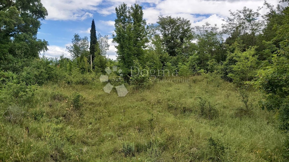 Terreno In vendita - ISTARSKA  ŽMINJ 