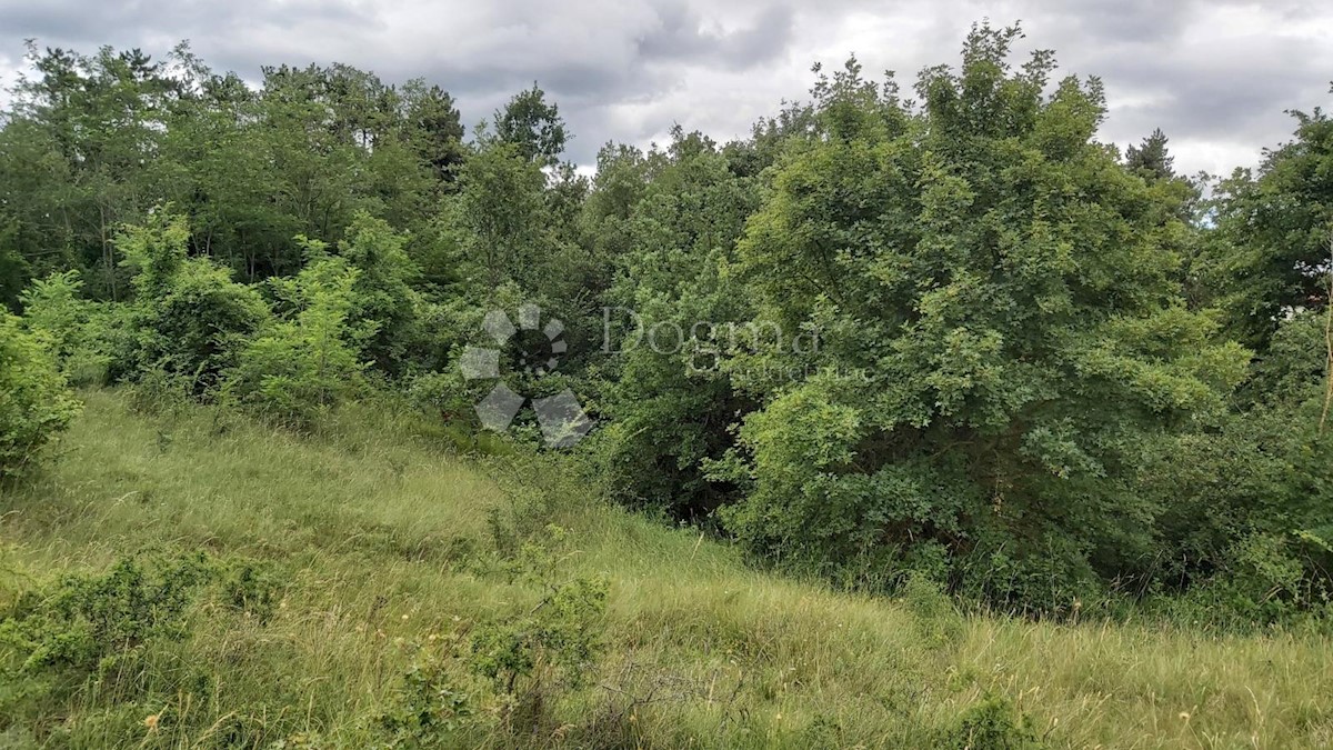 Terreno In vendita - ISTARSKA  ŽMINJ 