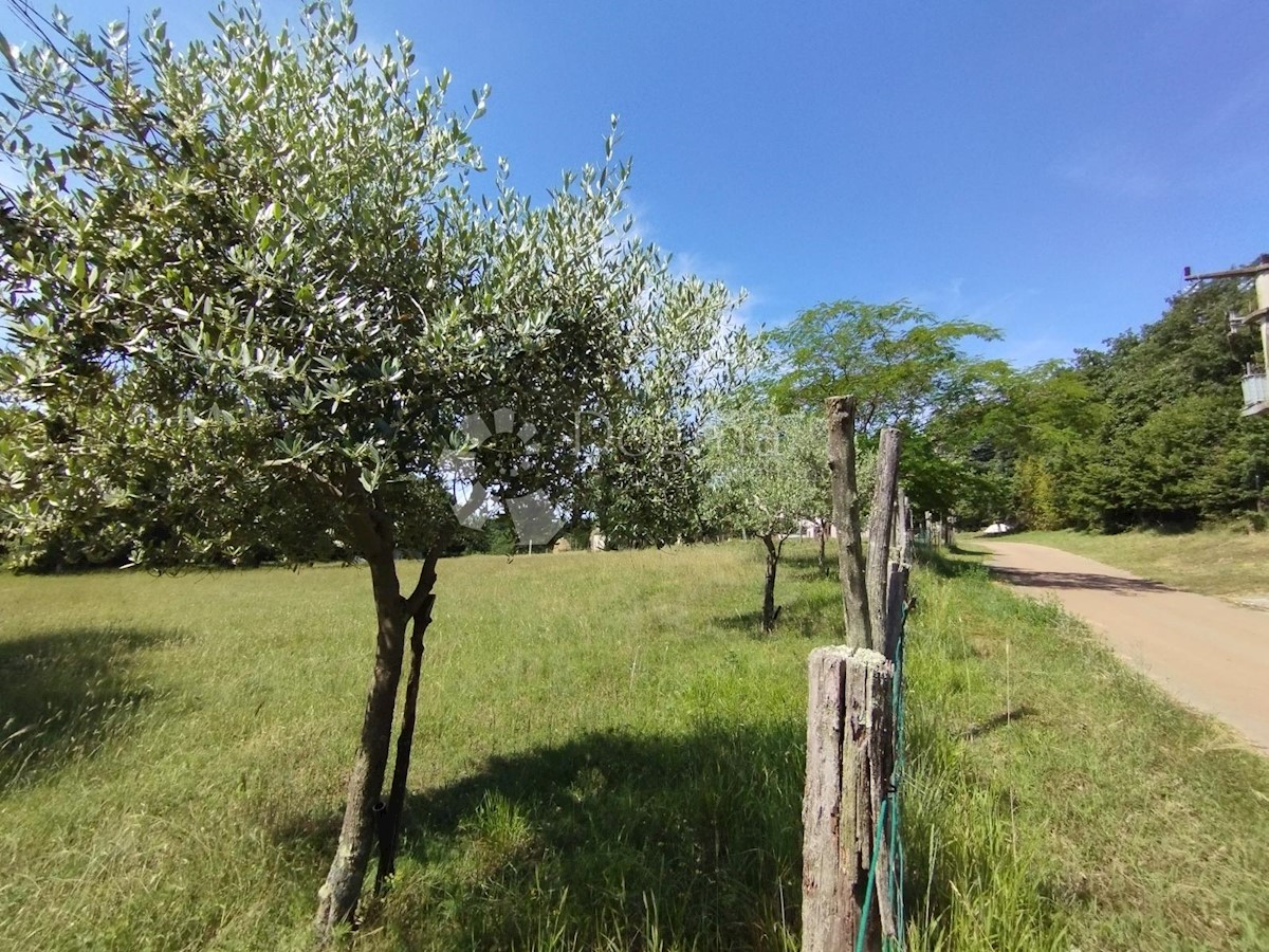 Kuća Na prodaju - ISTARSKA  BARBAN 