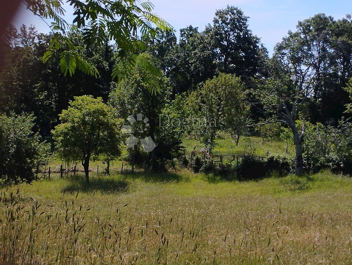 Casa In vendita - ISTARSKA  BARBAN 