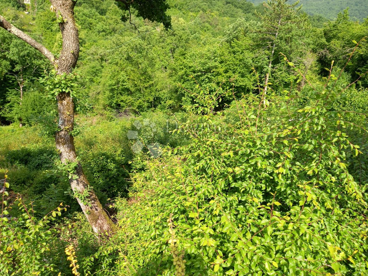 Zemljište Na prodaju - PRIMORSKO-GORANSKA  MATULJI 