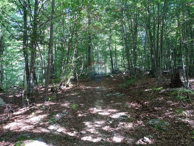 Zemljište na prodaju 32000 m² – Brod Moravice