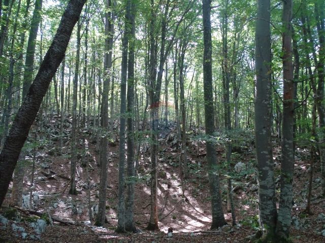 Parcela Naprodaj - Primorsko-goranska Brod Moravice - foto 4/6
