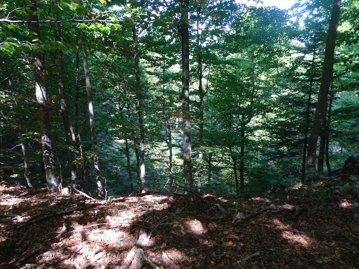 Parcela Naprodaj - PRIMORSKO-GORANSKA  Brod Moravice