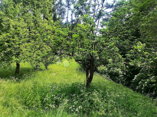 Terrain À vendre - Primorsko-goranska Vrbovsko - foto 4/4