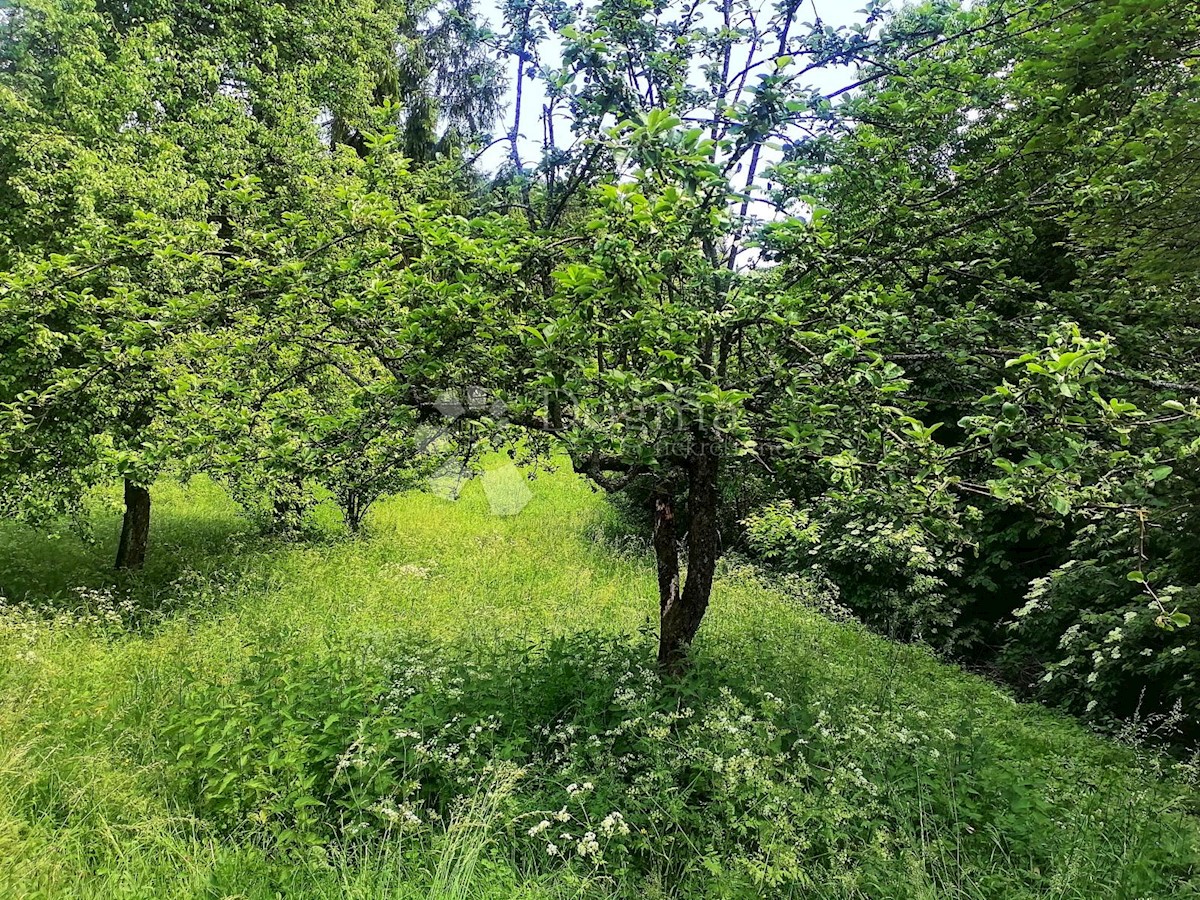 Terrain À vendre - PRIMORSKO-GORANSKA  Vrbovsko
