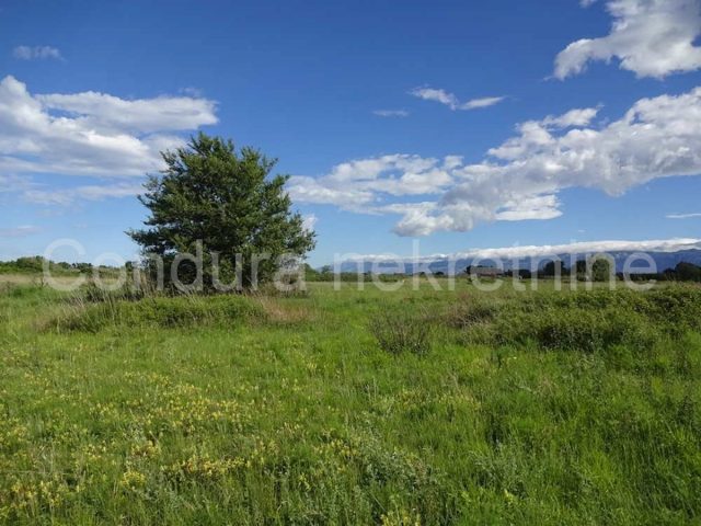 Land for sale 2744 m² – Nin