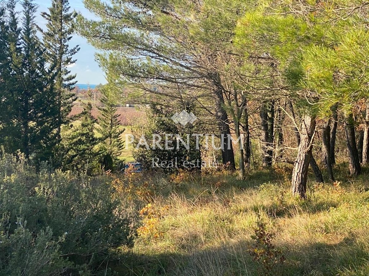 Parcela Naprodaj - ISTARSKA  Poreč