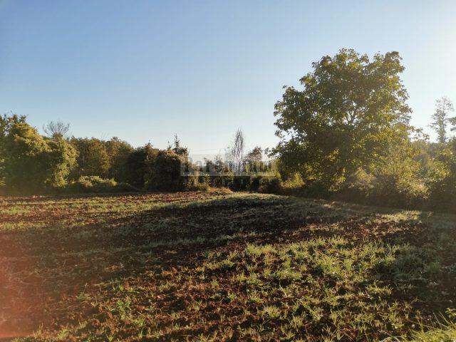 Grundstück Zu verkaufen - Istarska Tinjan - foto 2/2