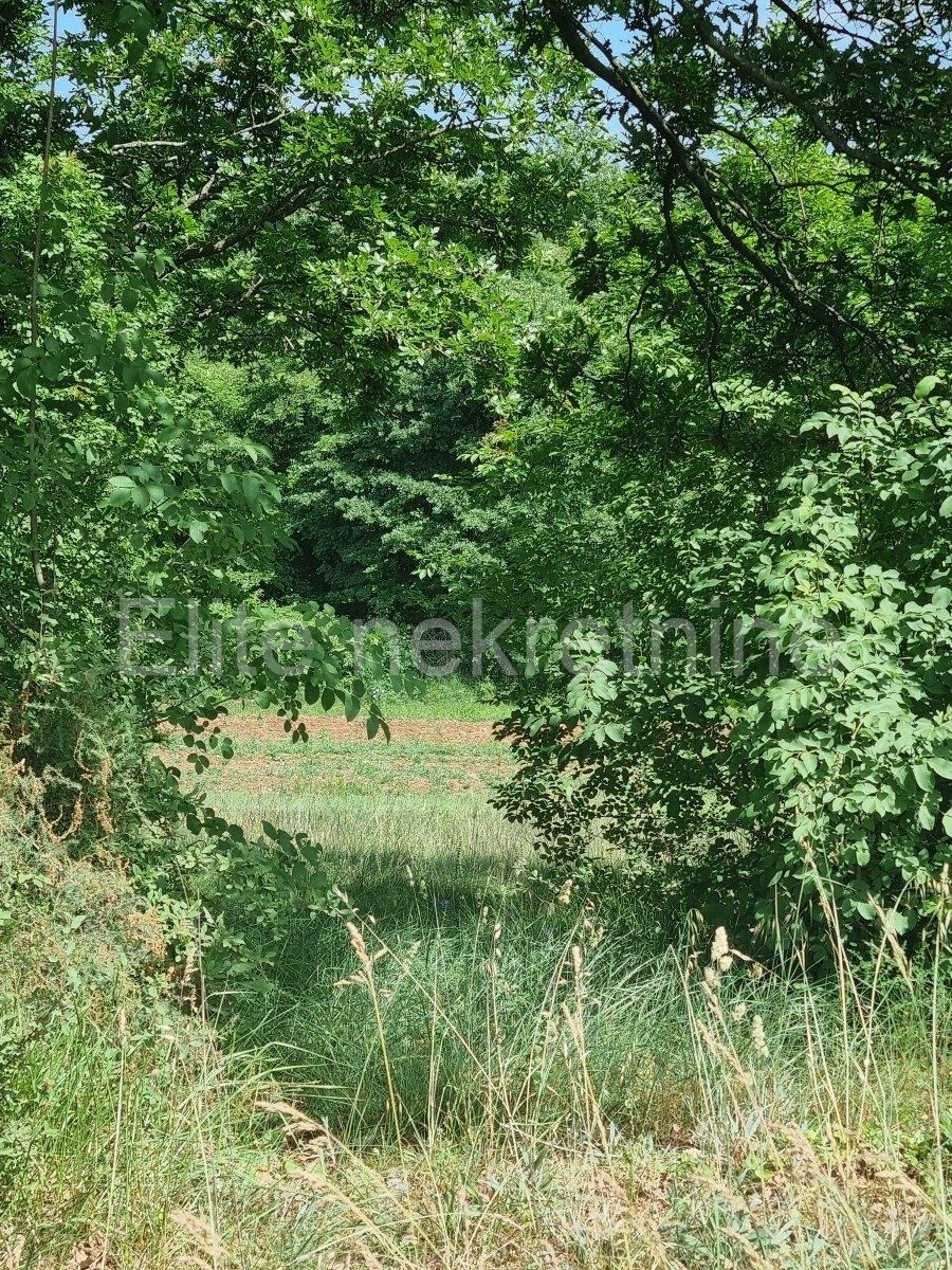 Terrain À vendre - ISTARSKA  SVETVINČENAT 