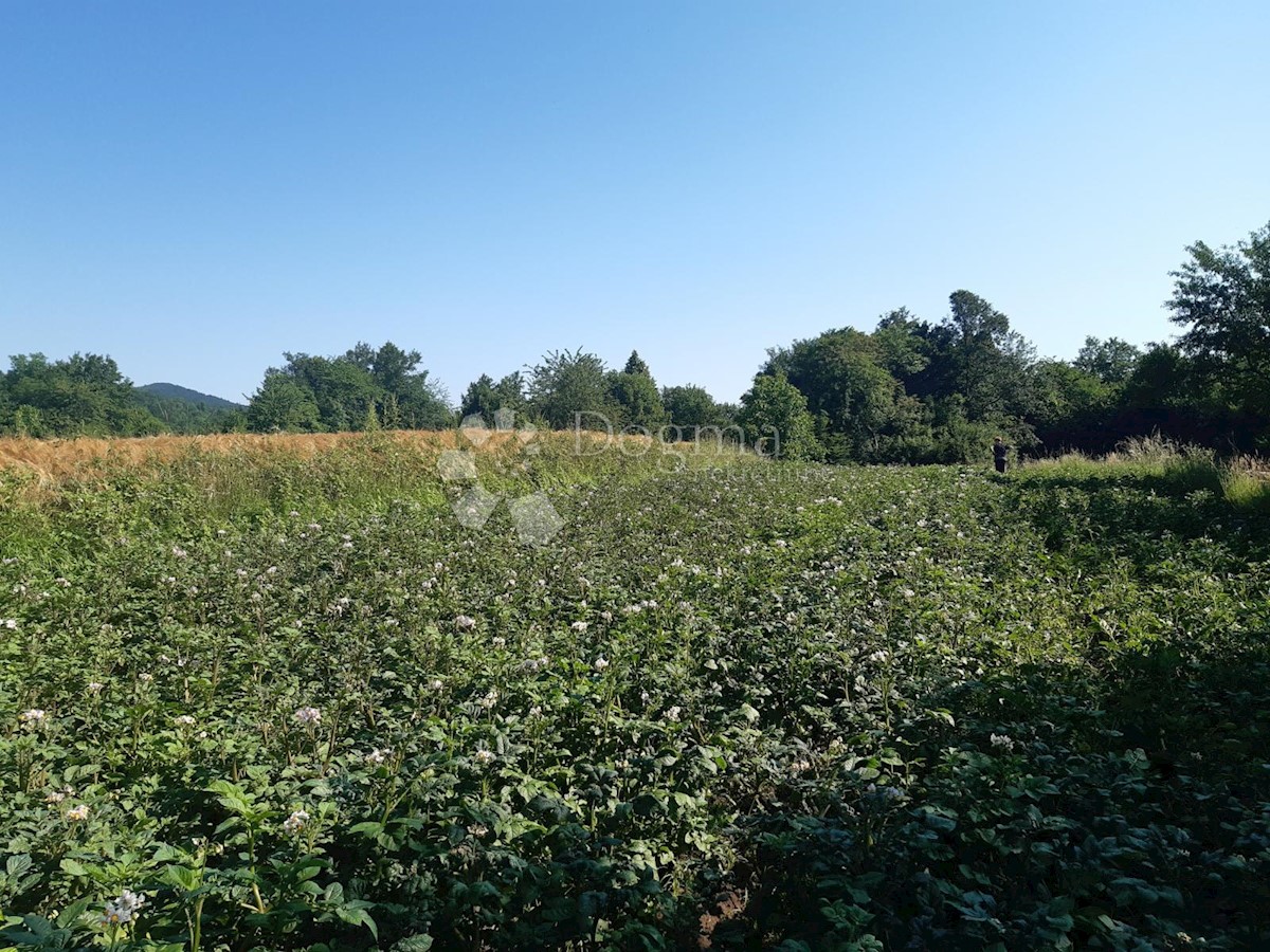 Pozemek Na prodej - KARLOVAČKA  OGULIN 