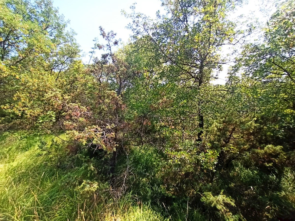 Terreno In vendita - ISTARSKA  BARBAN 