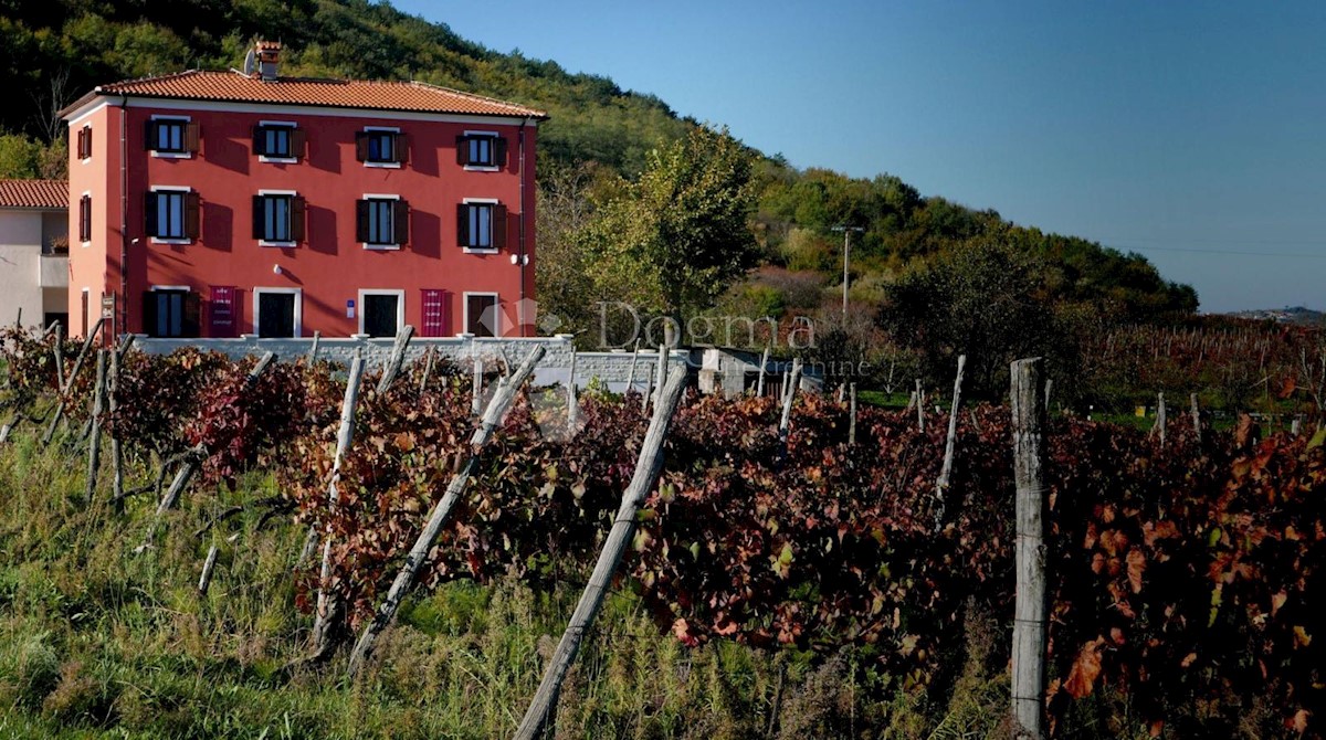 Dom Na predaj - ISTARSKA  MOTOVUN 