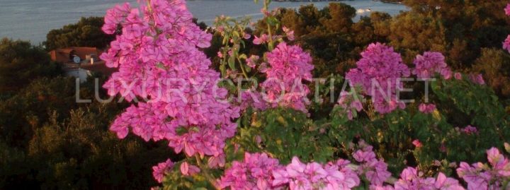 Kuća Na prodaju - Splitsko-dalmatinska šolta - foto 2/34