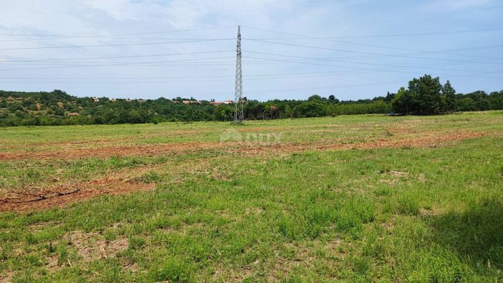 Pozemok na predaj 49000 m² – Kaldanija