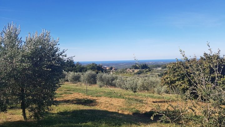 Parcela na predaj 2000 m² – Grožnjan