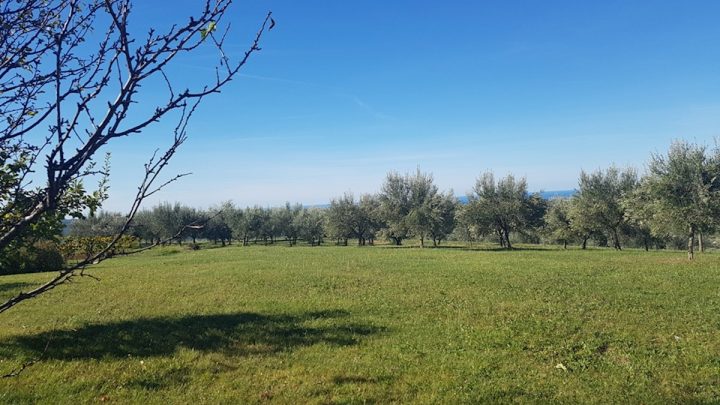 Zemljište Na prodaju - Istarska Grožnjan - foto 3/4