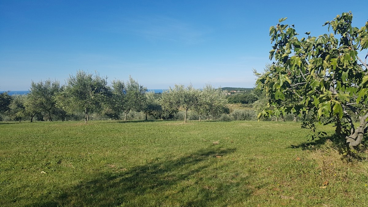 Zemljište Na prodaju - ISTARSKA  GROŽNJAN 