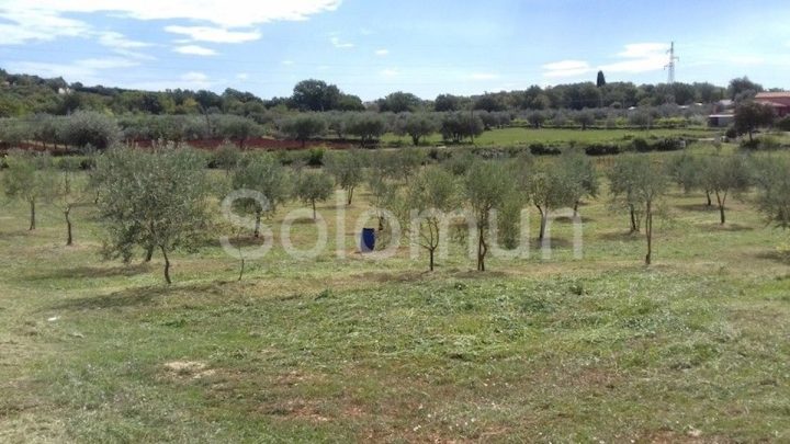 Pozemok na predaj 5046 m² – Rovinj