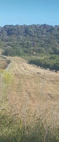 Parcela na predaj 3000 m² – Podstražje
