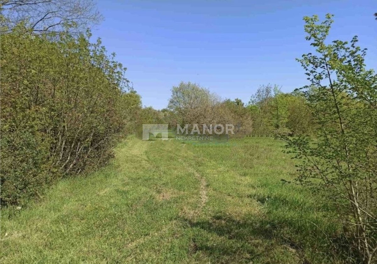 Land For sale - ISTARSKA  MARČANA 