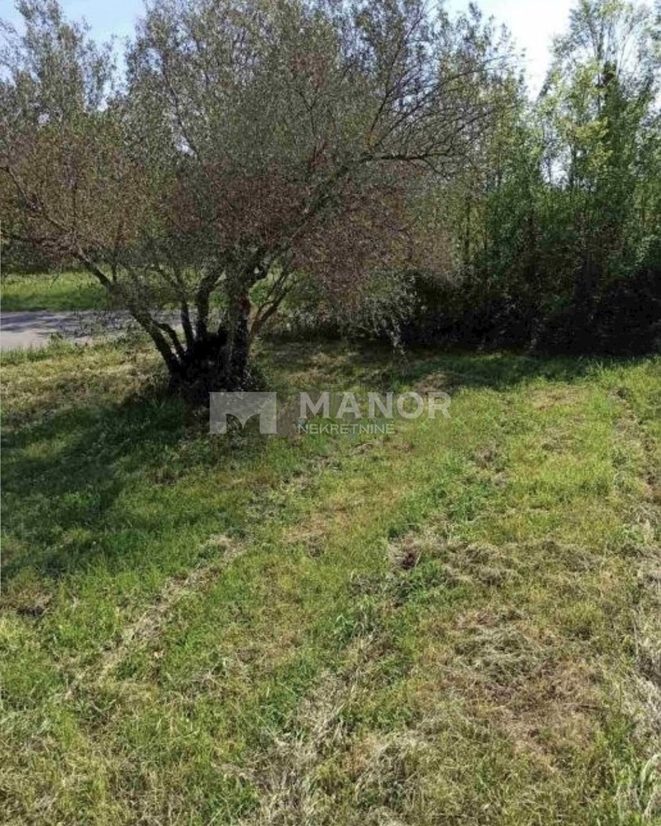 Land For sale - ISTARSKA  MARČANA 