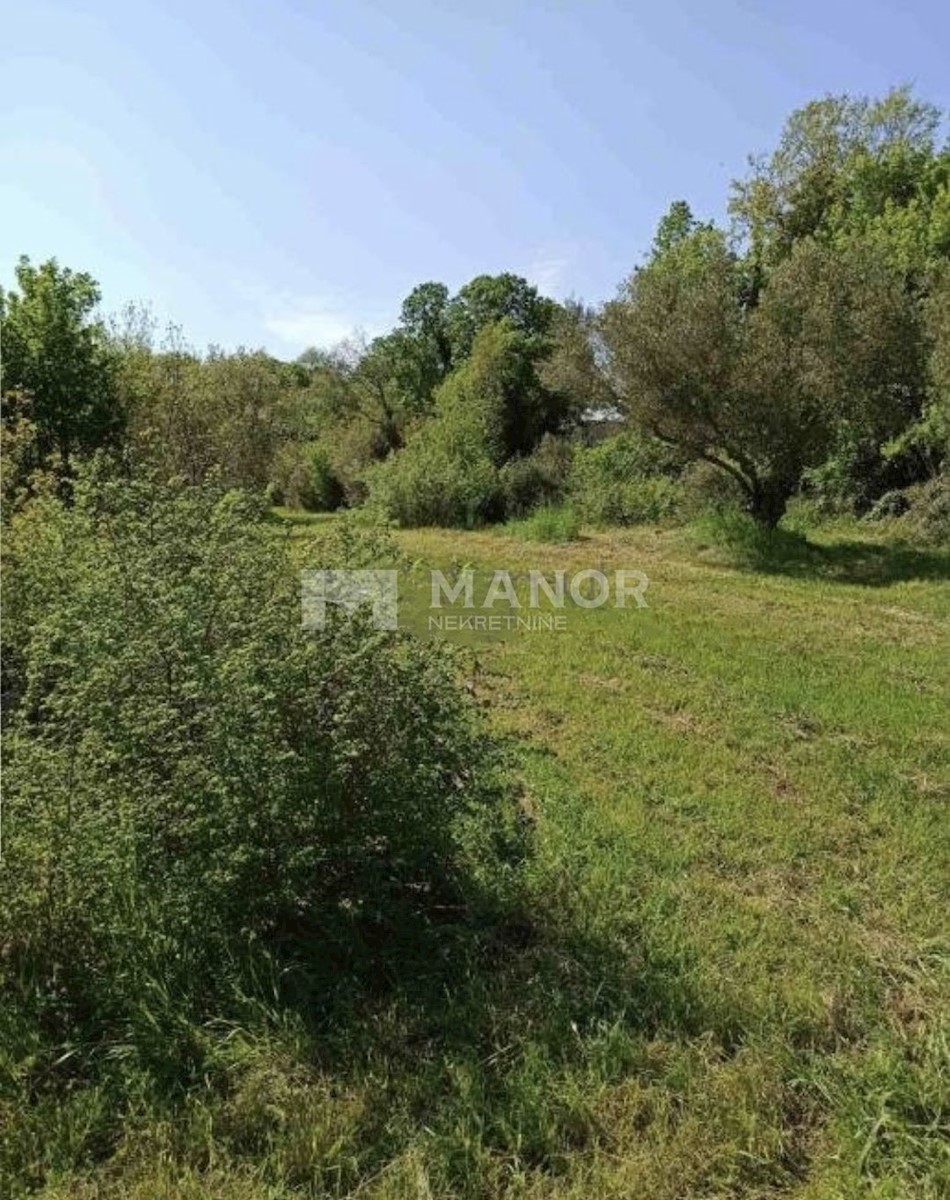 Land For sale - ISTARSKA  MARČANA 