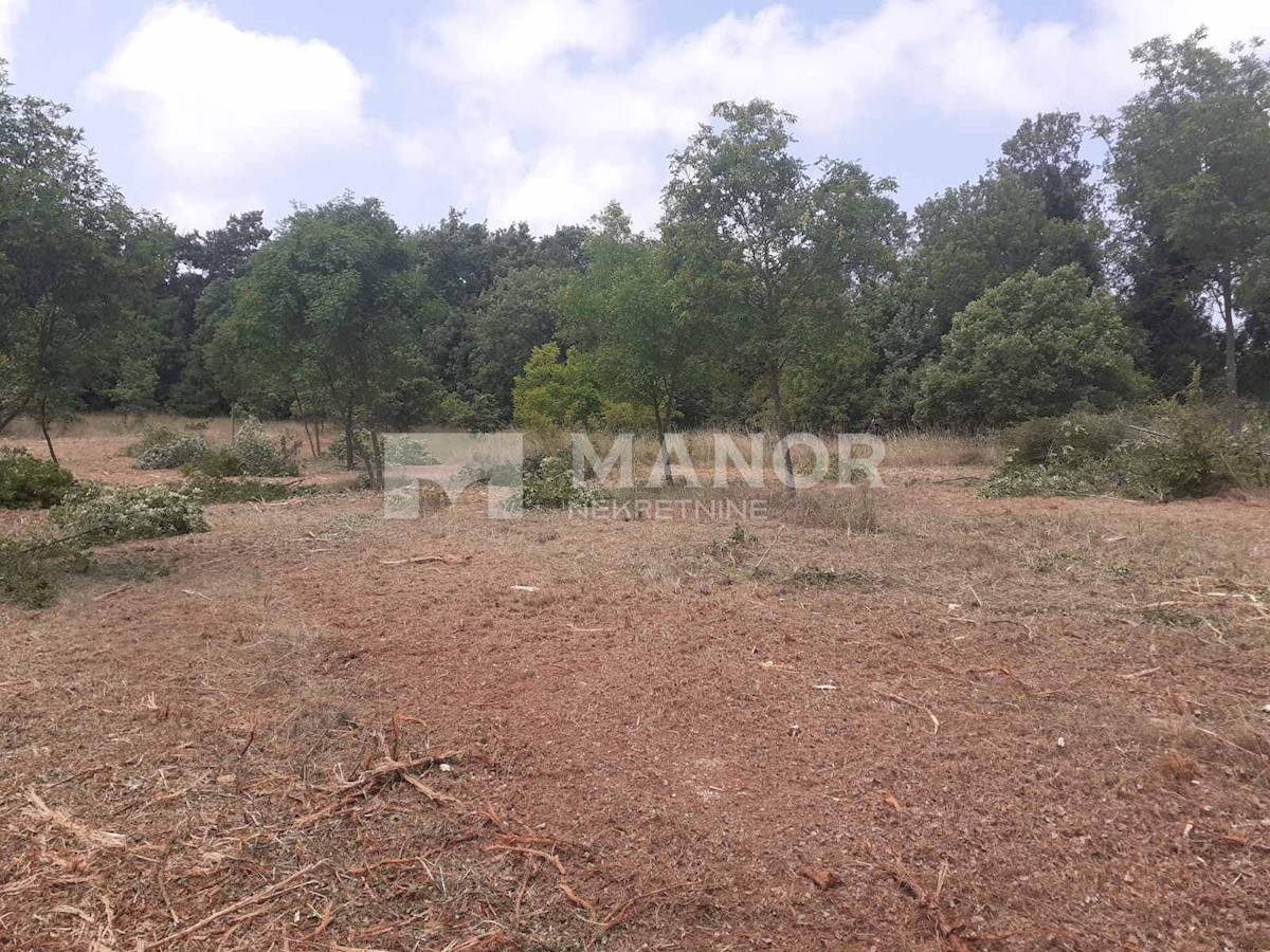 Land For sale - ISTARSKA  MARČANA 