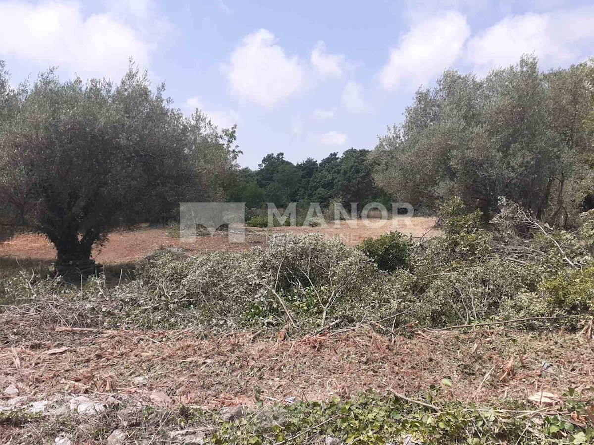 Terreno In vendita - ISTARSKA  MARČANA 