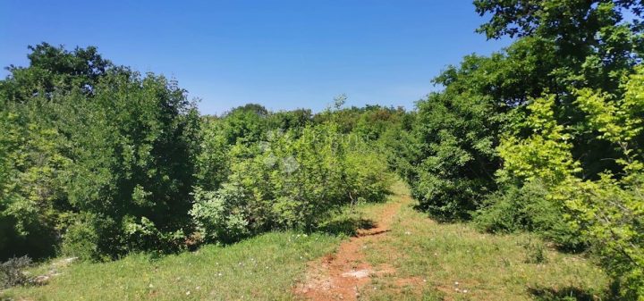 Pozemok na predaj 101000 m² – Bale