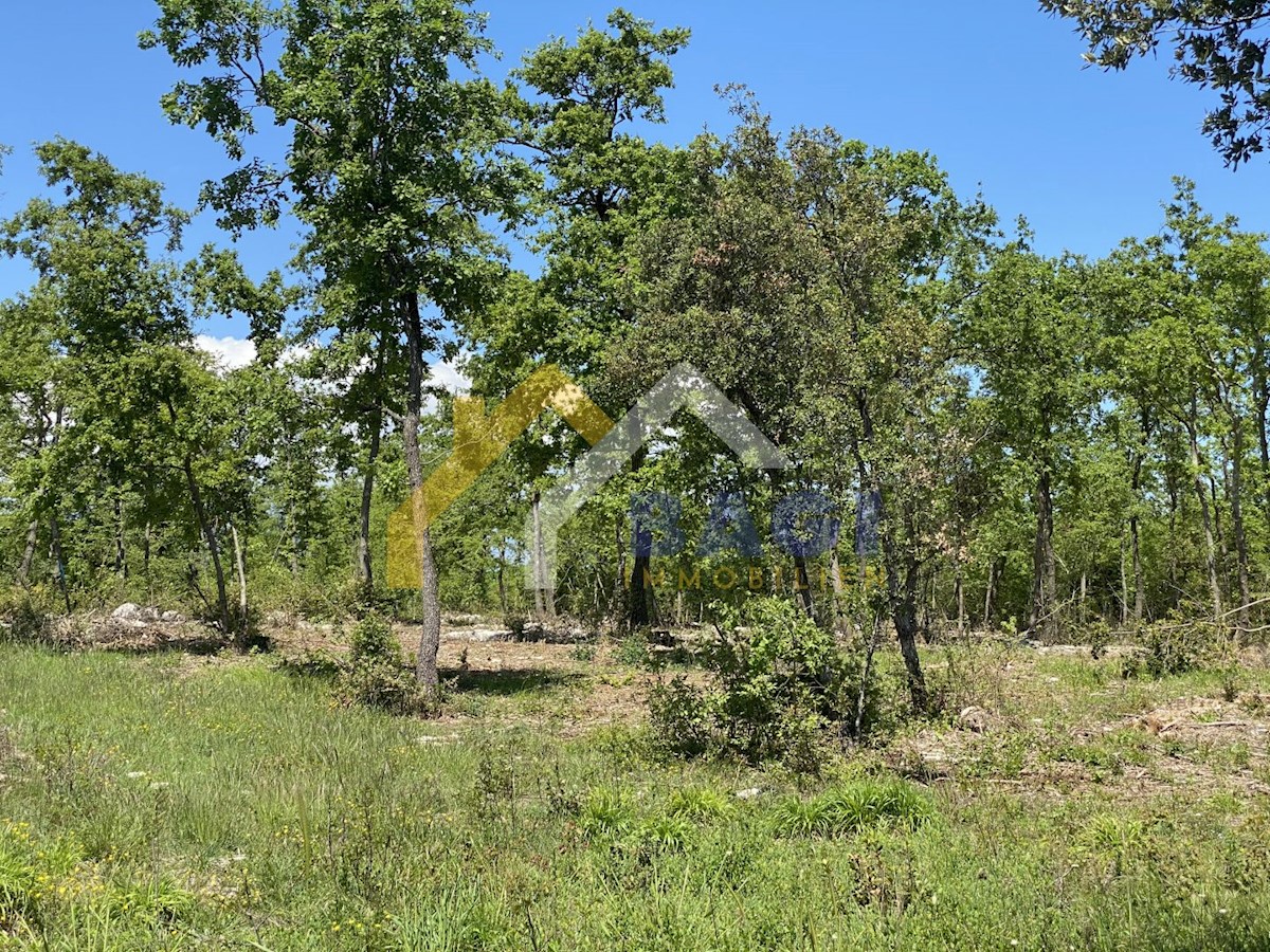 Land For sale - ISTARSKA  Marčana