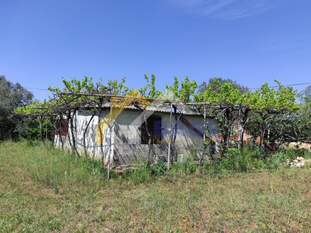 Maison à vendre 66 m² – Fažana