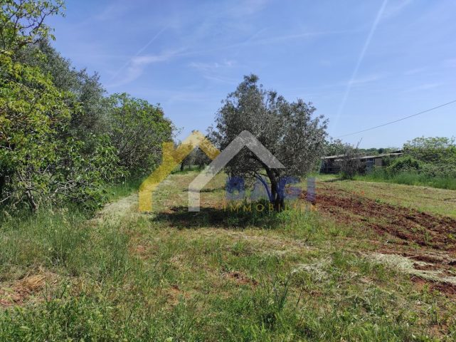 Kuća Na prodaju - Istarska Fažana - foto 4/8