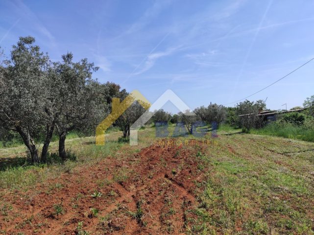 Kuća Na prodaju - Istarska Fažana - foto 5/8
