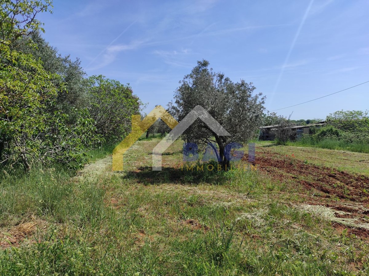 Haus Zu verkaufen - ISTARSKA  FAŽANA 