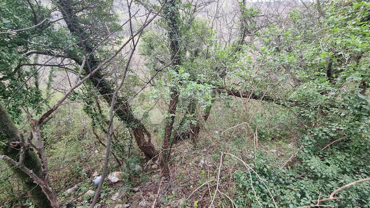 Parcela Naprodaj - PRIMORSKO-GORANSKA  Rijeka