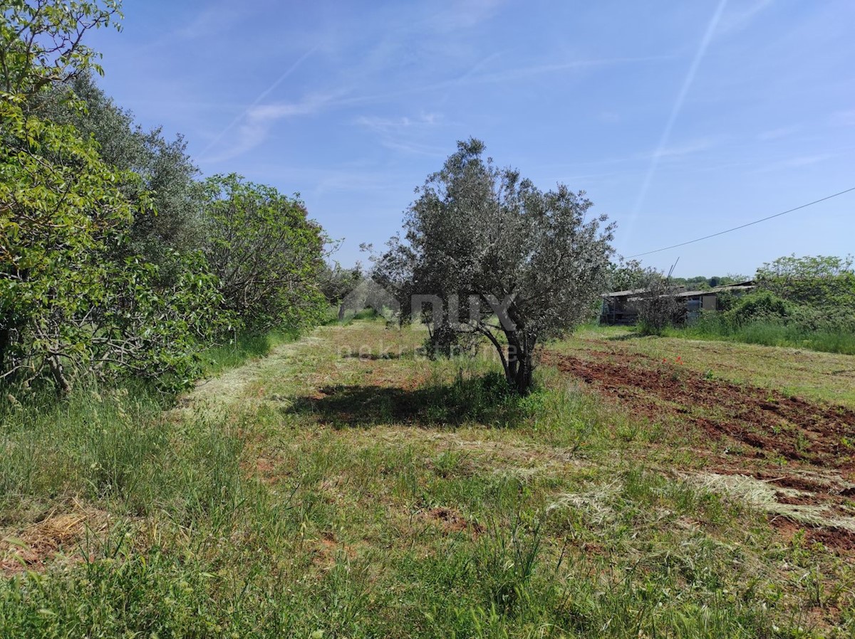 Casa In vendita - ISTARSKA  FAŽANA 