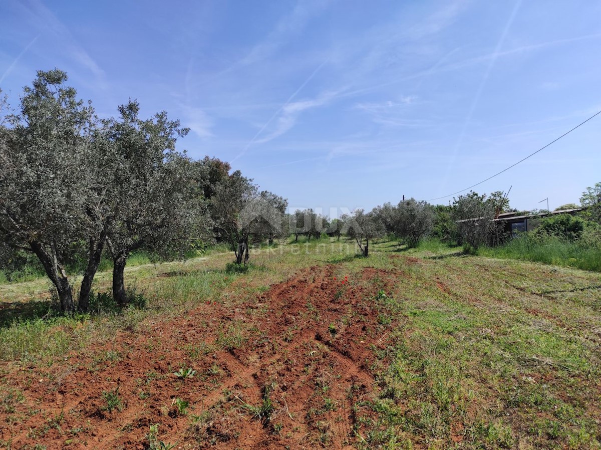 Casa In vendita - ISTARSKA  FAŽANA 