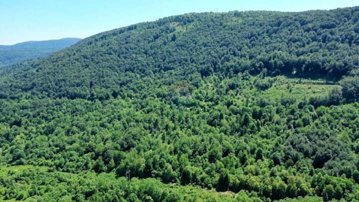 Parcela Naprodaj - Primorsko-goranska Vrbovsko - foto 3/4