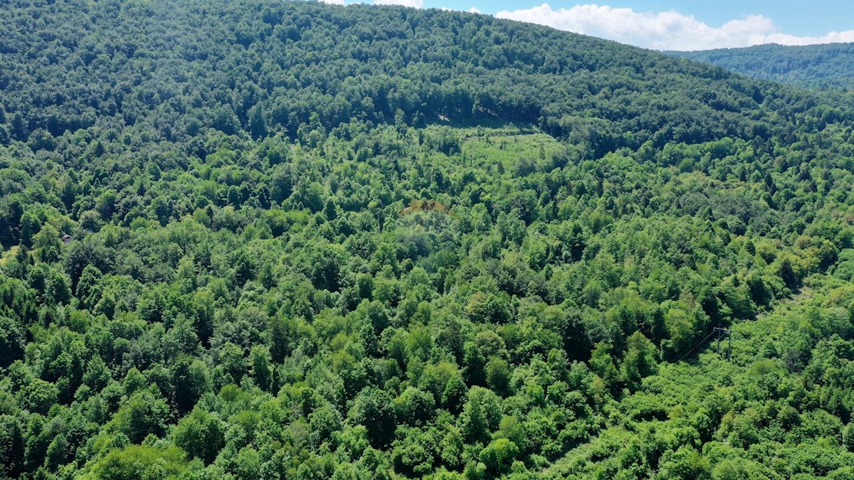 Pozemok Na predaj - PRIMORSKO-GORANSKA  VRBOVSKO 