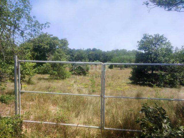 Grundstück zu verkaufen 1500 m² – Labin