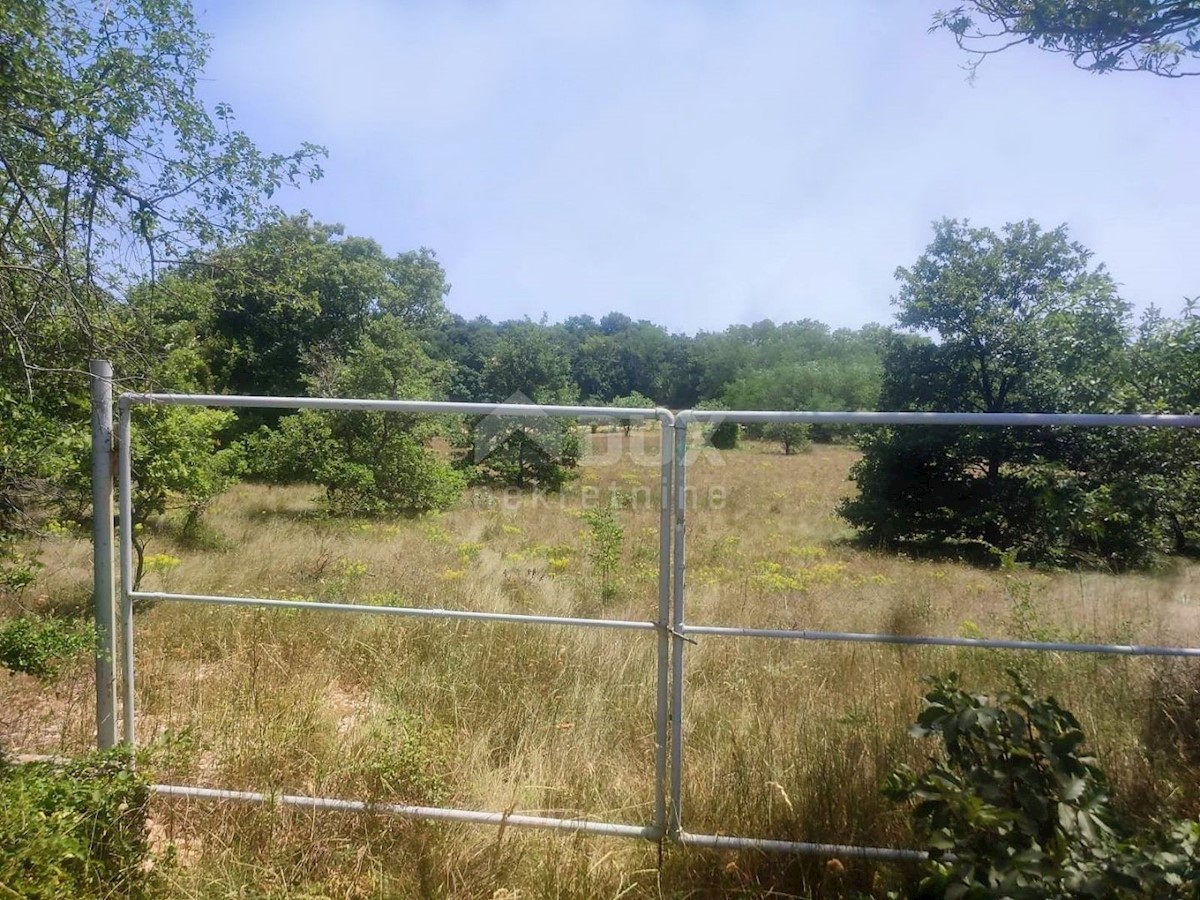 Land For sale LABIN