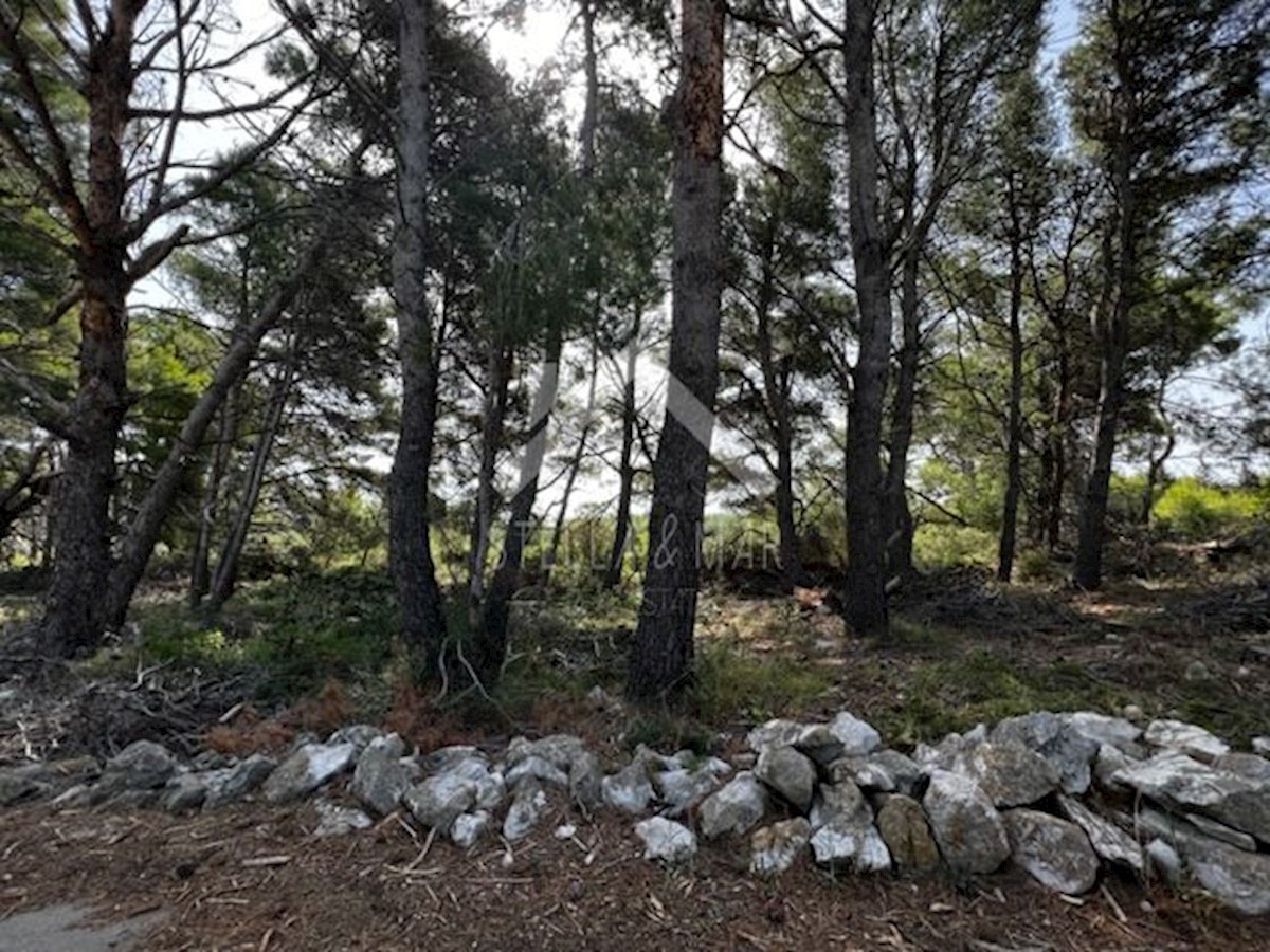 Terrain À vendre - ZADARSKA  Vir