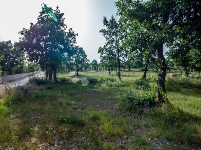 Parcela Naprodaj - Istarska Vodnjan - foto 3/3