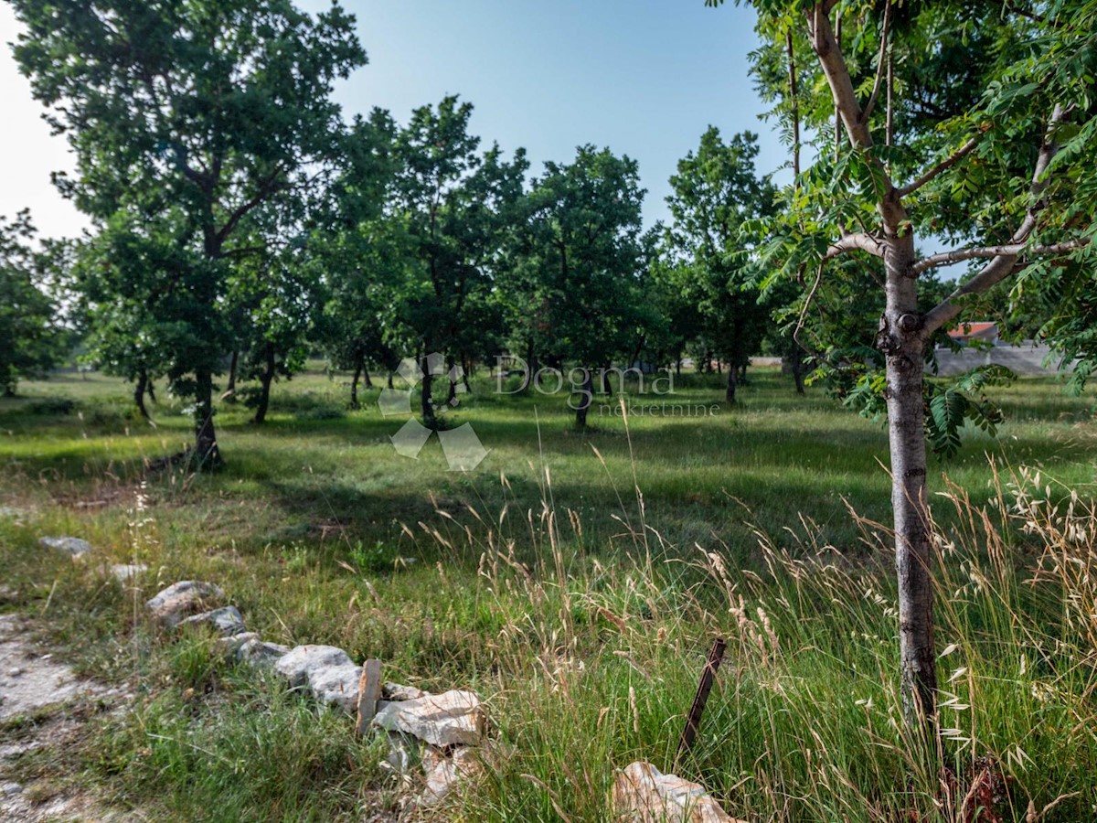 Terreno In vendita - ISTARSKA  VODNJAN 