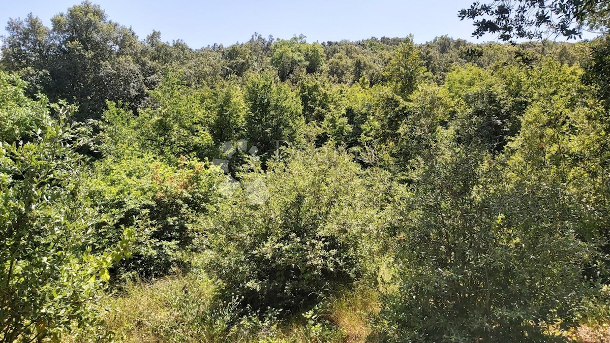 Land For sale - ISTARSKA  MARČANA 